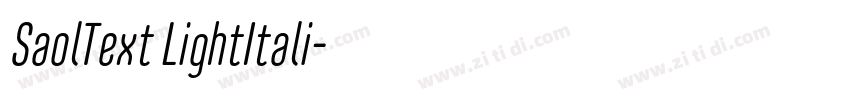 SaolText LightItali字体转换